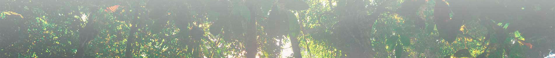 Slide background